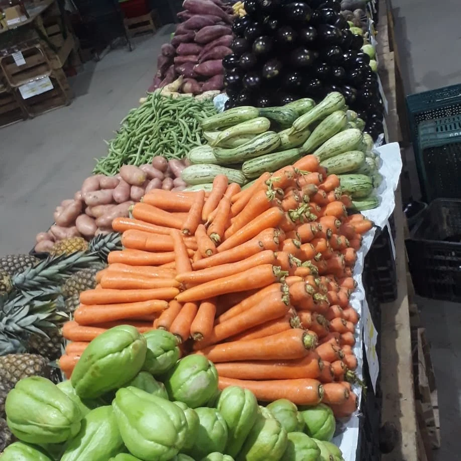Cenouras, chuchus, berinjelas e vagens